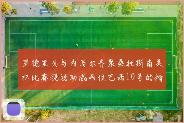 罗德里戈与内马尔齐聚桑托斯南美杯比赛现场助威两位巴西10号的精彩时刻