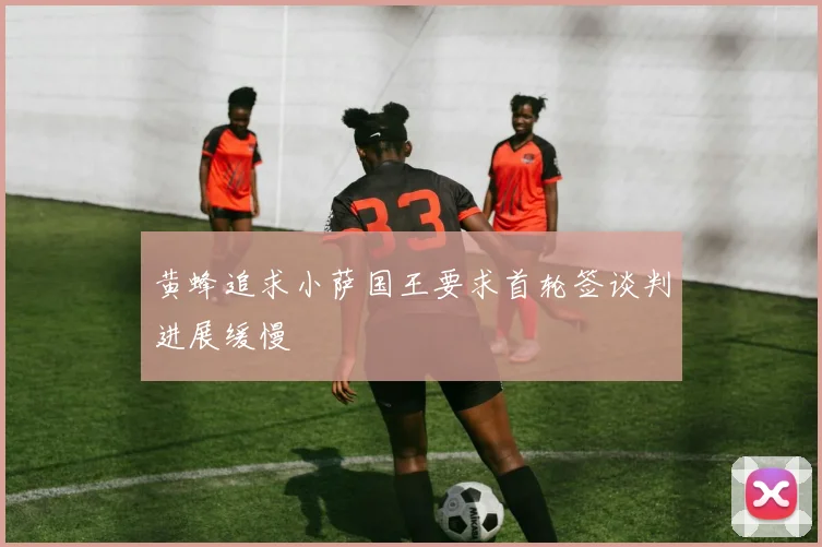 黄蜂追求小萨国王要求首轮签谈判进展缓慢